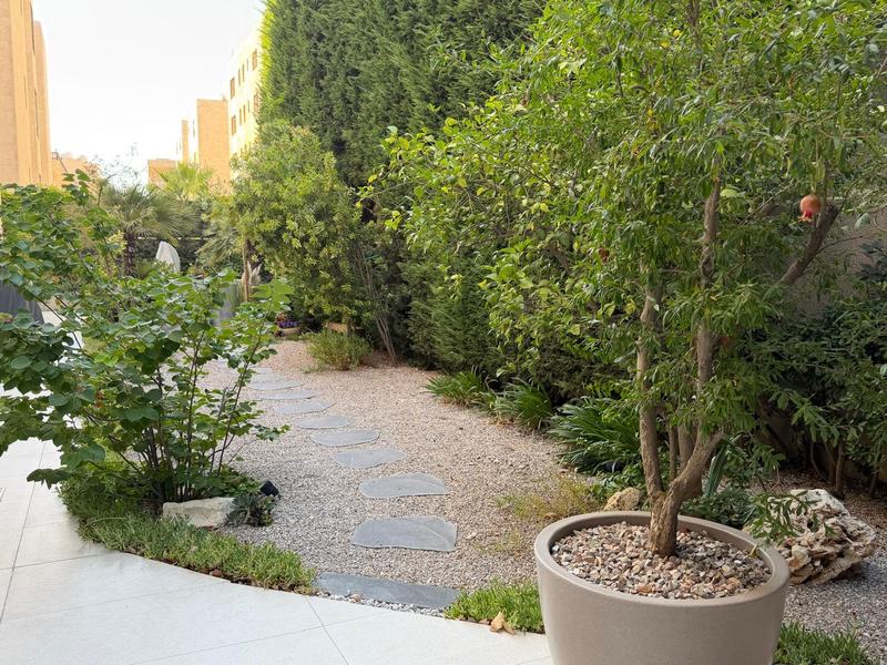 A curving path of dark stepping stones through gravel, with shrubs, a hedge and a pomegranate tree in a large planter.