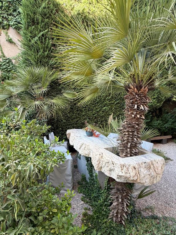 A long, rough-edged stone table built around the trunk of a palm, with covered chairs and dense planting.